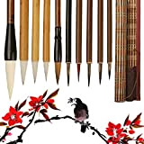 10Pcs-Set Pennello Per Calligrafia Cinese Kanji Giapponese Sumi Drawing Brush, Qualità Superiore, Cinese Pennello Da Scrittura Kanji Pennello Per Calligrafia ...