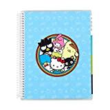 17,8 x 22,9 cm Hello Kitty and Friends x Erin Condren Kids Planner & Activity Book. 12 mesi pianificatore e ...