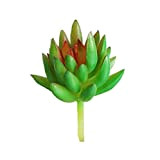 1PC artificiale succulente affollamento Piante Unpotted mini pianta per Lotus Paesaggio decorativo Garden Decor