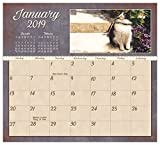 2019 magnetico 12-month Calendar Pad, gatti calendario