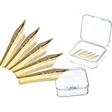 5 pennini penna stilografica adattano Jinhao 159/450/750/650, design universale, punta dorata, punta media