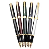 5 x Penna stilografica classica in metallo Gullor B388, penne regalo con convertitori, 5 colori diversi