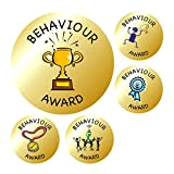 Adesivi scolastici comportamento premio insegnante premio adesivi, oro metallizzato, 100353-AMZ