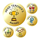 Adesivi scolastici metallizzati Gold Head Teacher Award Stickers, 100199-AMZ