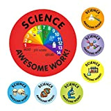 Adesivi scolastici Science Awesome Work Reward Stickers