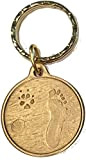 always by My Side Dog Pet zampa impronta spiaggia bronzo Seashell Keychain