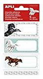 Apli Pony - Etichette scolastiche set da 9 pezzi, 94 x 36 mm, Multicolore