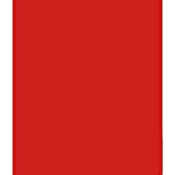 ARK A4 240 gsm cartoncino colorato confezione da 10 fogli (rosso Natale)