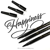 Art-n-Fly - Penne con punta a pennello, a doppia punta, inchiostro nero, per calligrafia. Pennarello a pennello nero, fine e ...