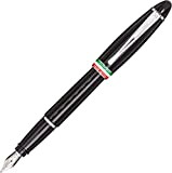 Aurora - Penna stilografica "IPSILON" Italia | Penna in resina nera con finiture cromate | Pennino M | Confezione regalo
