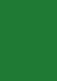 Baier & Schneider - Fogli di carta multiuso, formato A4, 80 g/mq, 50 fogli, colore: Verde scuro opaco
