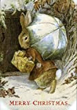 Beatrix Potter Merry Christmas Umbrella Rabbit Cartolina d'auguri