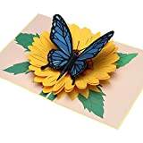Biglietto di auguri di compleanno pop-up 3D, con fiori, con farfalla e girasole