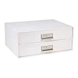 Bigso Box of Sweden Mini cassettiera da scrivania per documenti e materiale da ufficio – Organizer scrivania con 2 cassetti ...