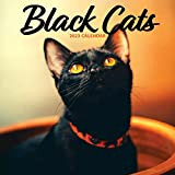 Black Cat 2023 Calendario