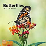 Bright Day, calendario da parete 2022 con farfalle da 30,5 x 30,5 cm, con bellissimi insetti bruchi