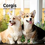 Bright Day, calendario da parete 2022 Corgis, 30 x 30 cm, simpatico cucciolo di cane