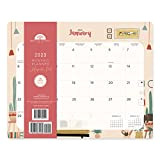 Bright Day, calendario magnetico per frigorifero 2023, calendario da parete, 16 mesi, 20 x 20 cm, gatti e piante grasse