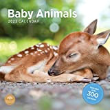 Bright Day, calendario mensile 2023, motivo: animali per bambini, 30 x 30 cm