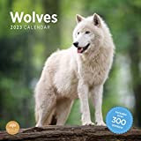 Bright Day, calendario mensile 2023 Wolves da parete, 30 x 30 cm