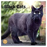 Bright Day - Calendario mensile da parete 2022, con gatti neri, 12 x 12 pollici, gattino