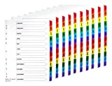 Britten & James A4 Divisori Intercalari mensili di 12 parti (confezione da 10 set) con linguette rinforzate multicolore. Alta qualità ...