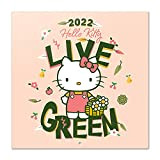 Calendario 2022 da Muro Hello Kitty con poster regalo incluso - 12 mesi, 30x30 cm, FSC® - ideale come calendario ...
