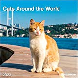 Calendario 2023 da muro Cats Around The World, 12 mesi, 30 x 30 cm (30 x 60 cm aperto)