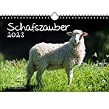 Calendario 2023 della magia delle pecore, formato DIN A4, per pecore e agnelli