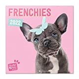 Calendario Cani 2022 da Muro Bulldog Francese - 12 mesi + 4 in omaggio, 30x30 cm, FSC® - ideale come ...