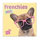 Calendario Cuccioli Bulldog Francese 2023 muro - 12 mesi + 4 in omaggio, 30x30 cm, FSC® - ideale come calendario ...