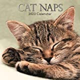 Calendario da parete 2023 - Cat Naps Calendario, 30 X 30 Centimetri Vista Mensile, 16 Mesi, Animali A Tema, Comprende ...