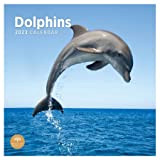 Calendario da parete 2023 con delfini di Bright Day, 30 x 35 cm