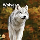 Calendario da parete 2023 lupi di Bright Day, 30 x 35 cm