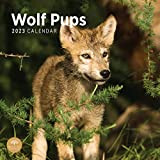 Calendario da parete 2023 Wolf Pups by Bright Day, 30 x 35 cm