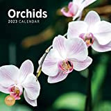 Calendario da parete con orchidee 2022 di Bright Day, 30 x 30 cm, motivo floreale