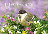 Calendario da parete per uccelli domestici, 2023, formato DIN A4, per uccelli, uccelli, passeri, fink merlo, picchio, albero, prato, foresta ...
