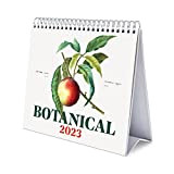 Calendario da Tavolo 2023 Botanical - Calendario Scrivania 2023, 12 mesi + Planner annuale 2024, 17x20 cm, FSC® - ideale ...