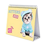 Calendario da Tavolo 2023 Gattini - Calendario Scrivania 2023, 12 mesi + Planner annuale 2024, 17x20 cm, FSC® - ideale ...