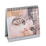 Calendario da tavolo creativo Calendario da scrivania 2019, simpatico gatto [D]