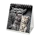 Calendario da tavolo per gatti divertenti, formato 2023, 10 cm x 10 cm, gatti divertenti – Incantesimo dell'anima