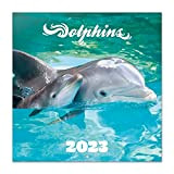 Calendario Delfini 2023 da Muro - 12 mesi + 4 in omaggio, 30x30 cm, FSC® - ideale come calendario 2023 ...