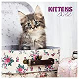 Calendario gattini 2022 da Muro - 12 mesi + 4 in omaggio, 30x30 cm, FSC® - ideale come calendario 2022 ...