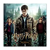 Calendario Harry Potter 2023 da Muro - 12 mesi + 4 in omaggio, 30x30 cm, FSC® - ideale come harry ...