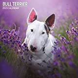 Calendario tradizionale Bull Terrier 2023