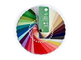 Campionario colori a ventaglio per collezione estate-autunno (Soft Autumn) con 35 colori per consulenza d?immagine