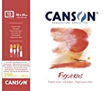 Canson, Blocco da disegno per colori a olio e acrilico 10 fogli, 290 g, grana in tela di lino, Bianco ...