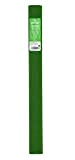 Canson Rotoli da 10 fogli creponi 32 g/m² 50 x 250 cm, verde felce