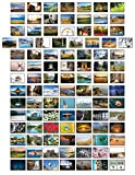 Cartoline Paesaggi - 100 Cartoline diverse…