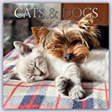 Cats & Dogs - Gatti e cani 2023 - Calendario 16 mesi: calendario originale Gifted Stationery [multilingue] [calendario]